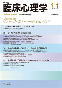 臨床心理学　第19巻3号　心理専門職必携 ピンチに学ぶスーパーヴィジョンガイド